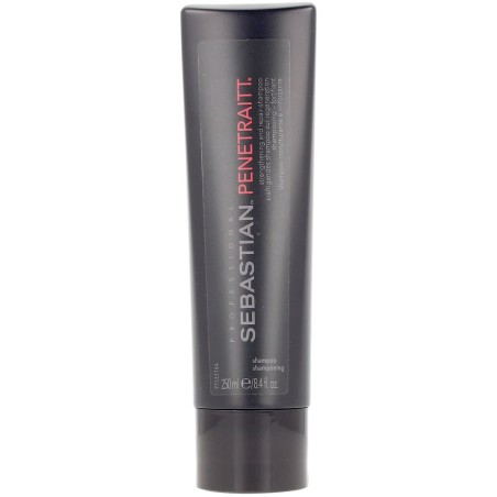PENETRAITT Stärke- und Reparaturshampoo 250 ml