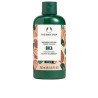 SHEA Duschcreme 250 ml