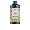 Shampoo allo ZENZERO 400 ml