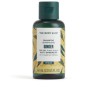 GINGER champú 60 ml