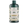 GINGER acondicionador 400 ml