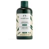 GINGER acondicionador 250 ml